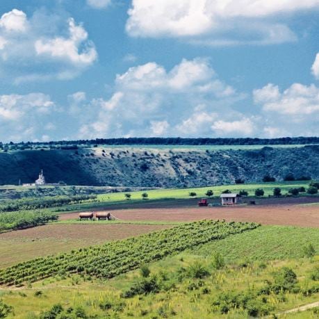 Moldova podgorii de struguri pentru vin
