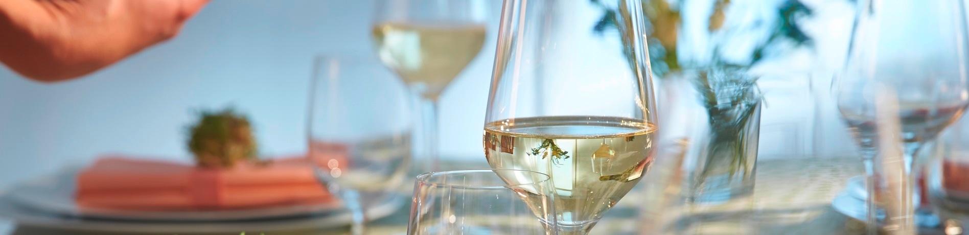 pahare de vin alb moldova