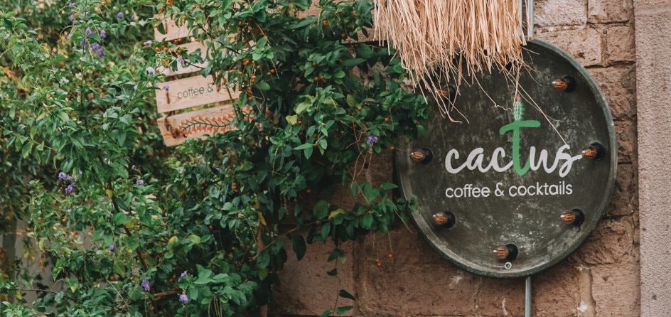 Tipuri de logo-uri și nume