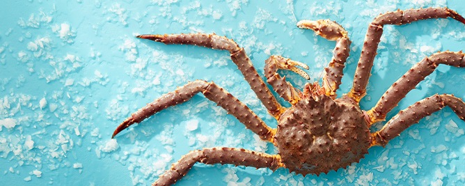 King crab van de barbecue