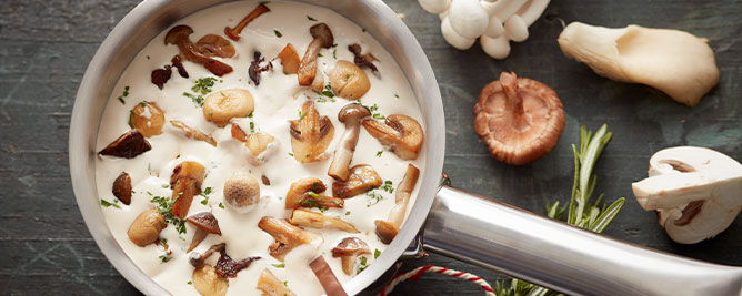 668x267-detail-imagepaddenstoele