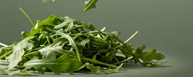 rucola