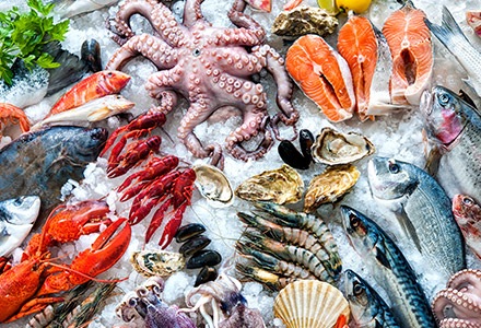 Ryby i owoce morza mrożone