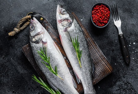 Ryby morskie hodowlane całe