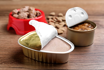 Karma mokra dla kota