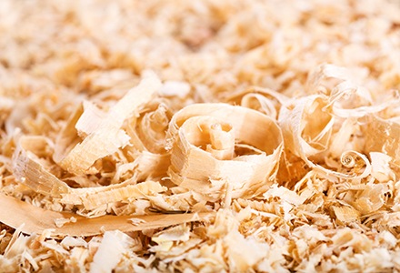 Trociny dla zwierząt