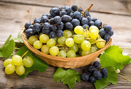 Winogrona