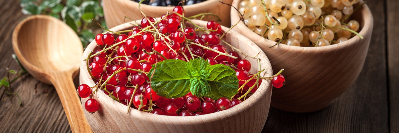 Porzeczki czerwone i białe