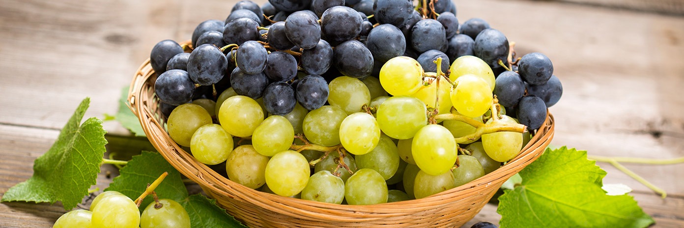 Winogrona zielone i ciemne