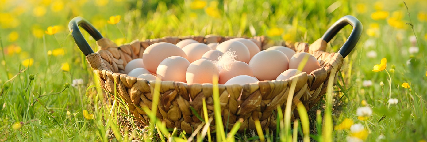 Jaja ekologiczne