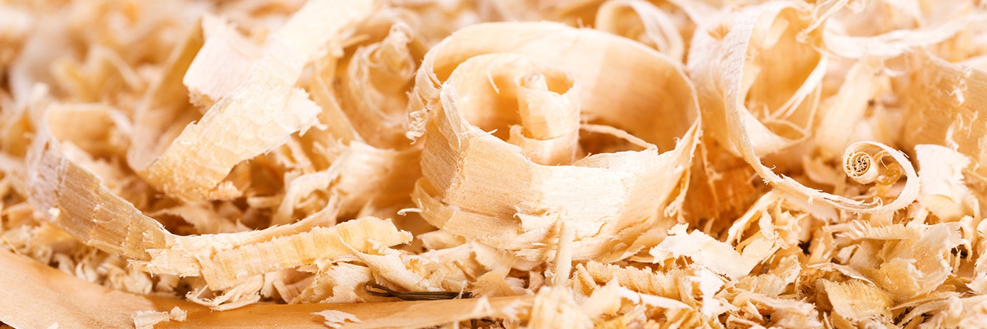 Trociny dla zwierząt