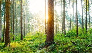 Zrównoważony rozwój w MAKRO