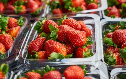 Opakowania do przechowywania żywności dla cateringu