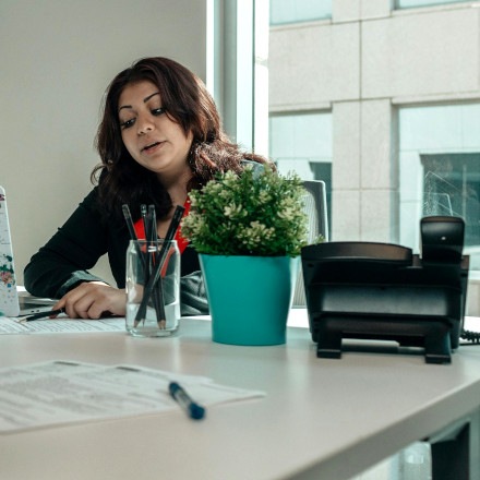 Rośliny na biurko i zieleń dla lepszego samopoczucia