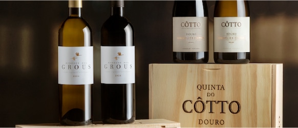 Especial Vinhos