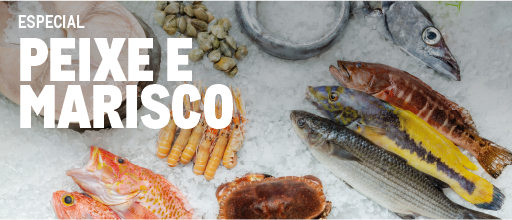 ESPECIAL PEIXE E MARISCO