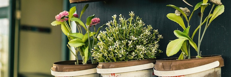 Sustainable and eco-friendly practices in outdoor horeca