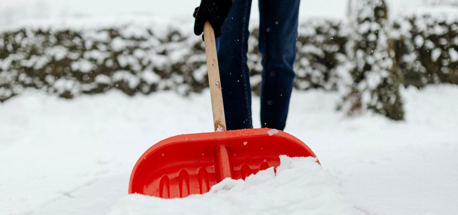 Proper Protection of Landscaping and Flooring