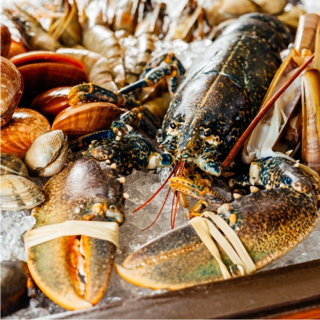 Lavagante e outro marisco em bancada com gelo