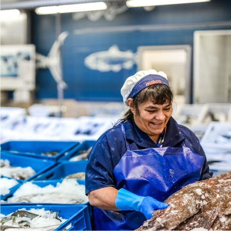 Peixaria makro Alfragide