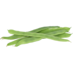 feijão verde plano