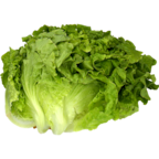 Alface frisada