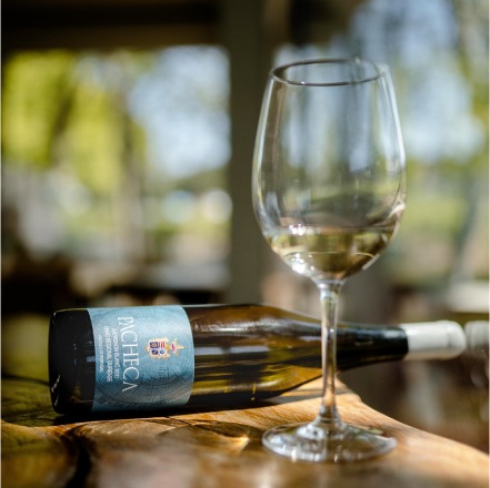 Pacheca Sauvignon
