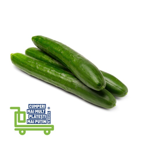 Castraveți Fabio proaspeți, ideali pentru salate, disponibili în oferta METRO Cumperi Mai Mult Plătești Mai Puțin.