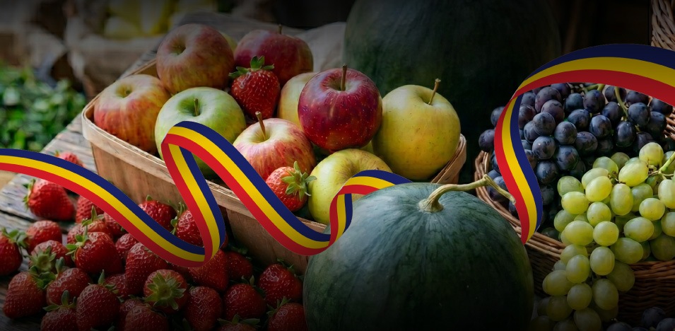 Fructe & Legume