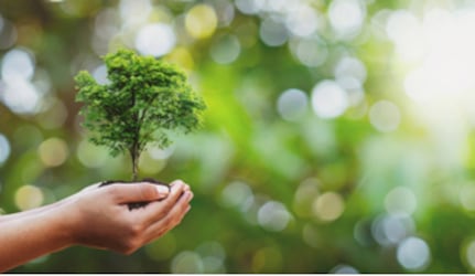 METRO Sustenabil METRO Sustenabil