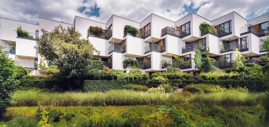  Tips on how to make your hotel more eco-friendly