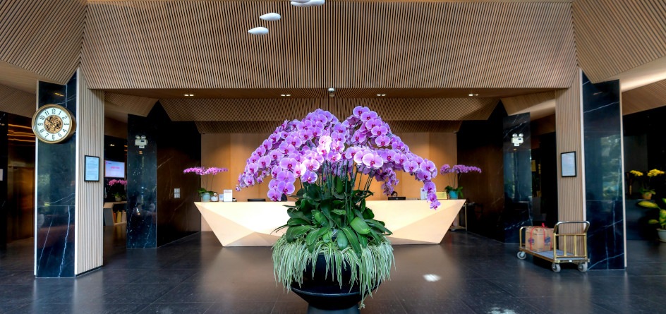 Different types of hotels