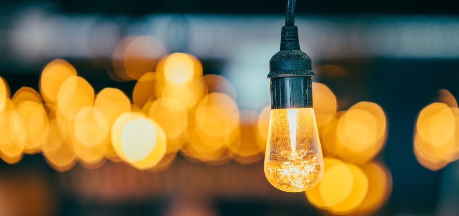 Business plan: the idea