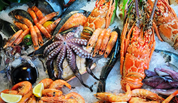 Fructe de mare METRO