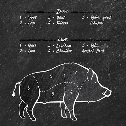 divlja svinja raseci divlja svinja raseci