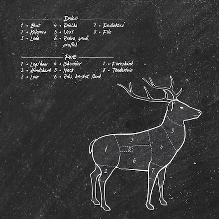 meso jelena raseci meso jelena raseci