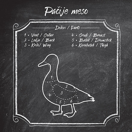 pačije meso raseci pačije meso raseci