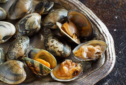 Vongole
