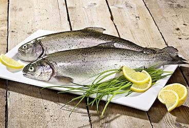 Pastrmka