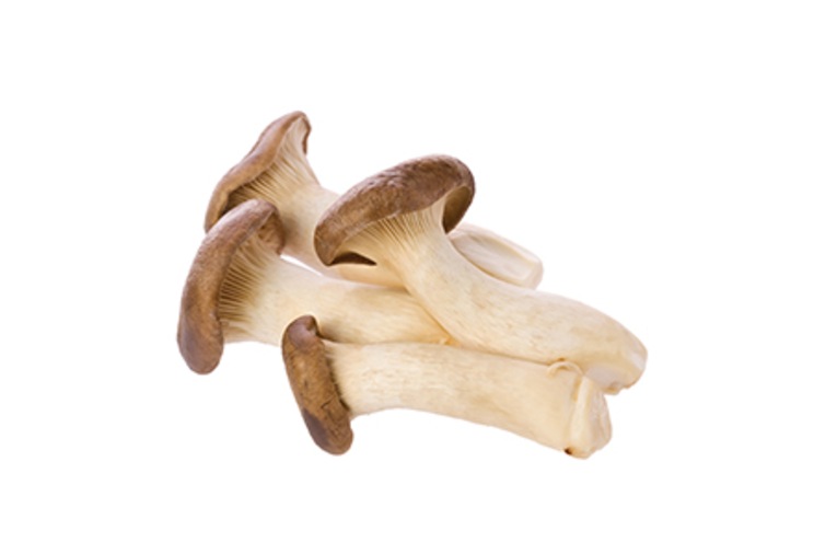 King Oyster