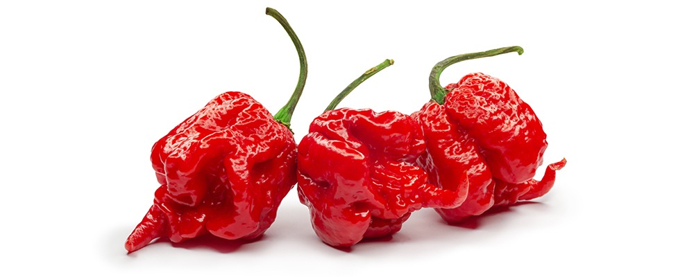 Carolina reaper