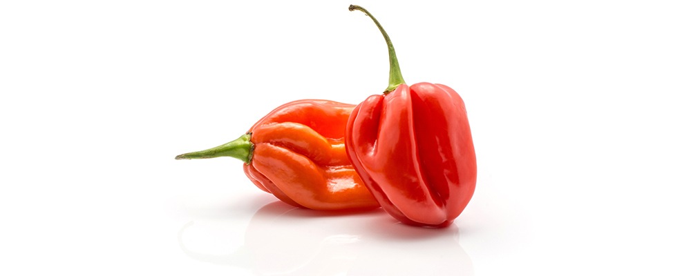 habanero paprika