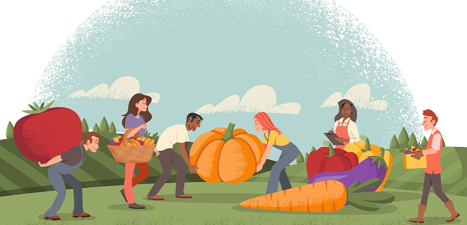 održiva gastronomija