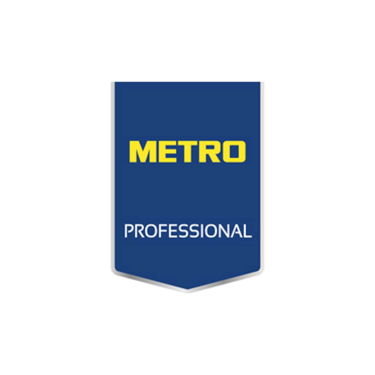 metro professional logo