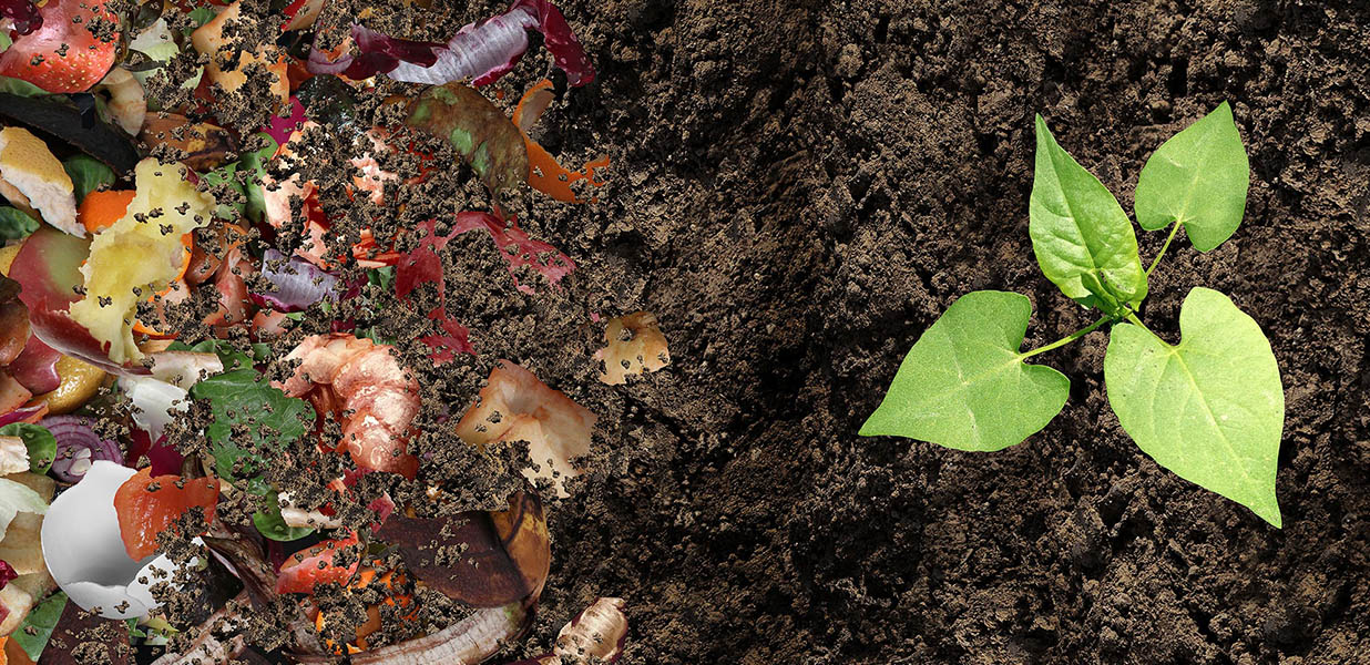 Kompostiranje teaser