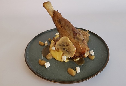 Jagnjeca kolenica tizer