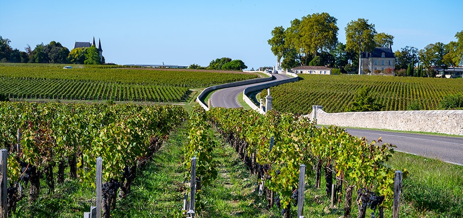 vinarija vinarija