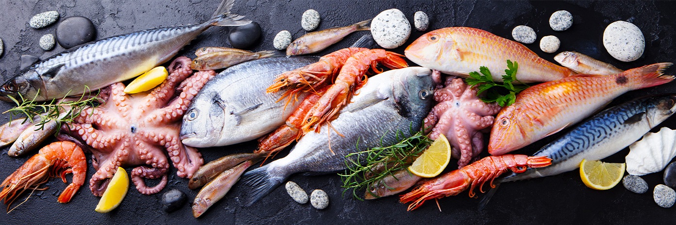 Ryby a mořské plody