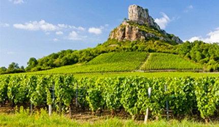 Burgundsko