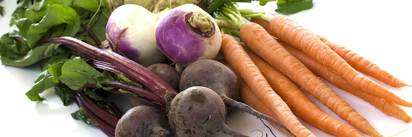 Kořenová zelenina